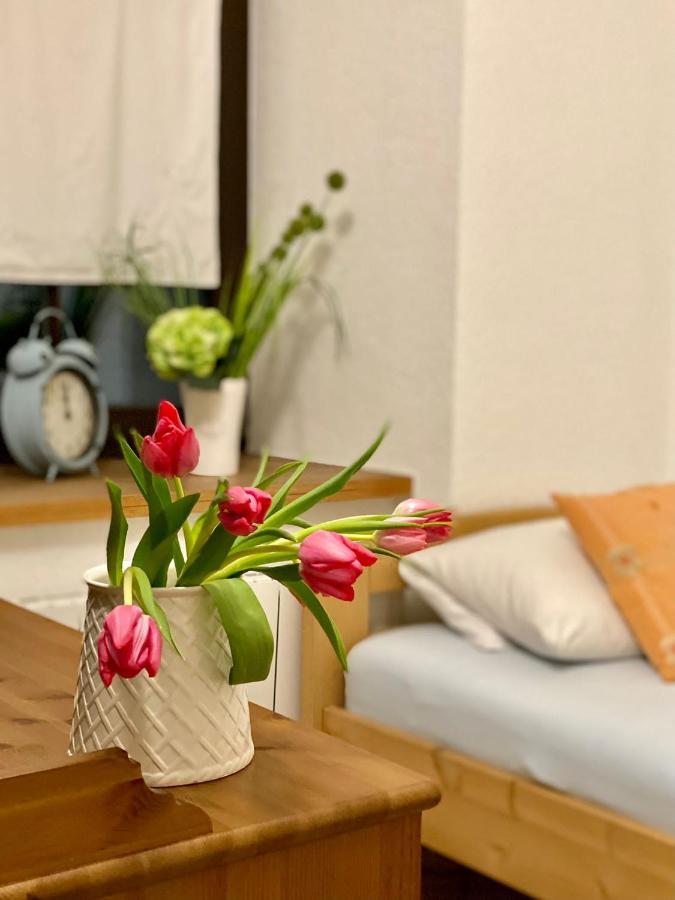 Ferienwohnung Am Weinberg Мейсен Экстерьер фото