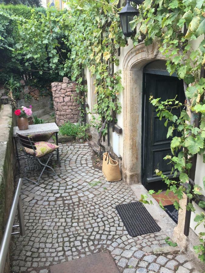 Ferienwohnung Am Weinberg Мейсен Экстерьер фото